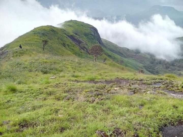 Jungle Retreat Natural Stay Kombaikadu Кодайканал Экстерьер фото